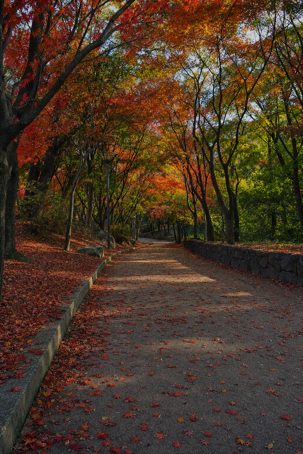 단풍 공원